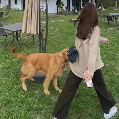 重生之门